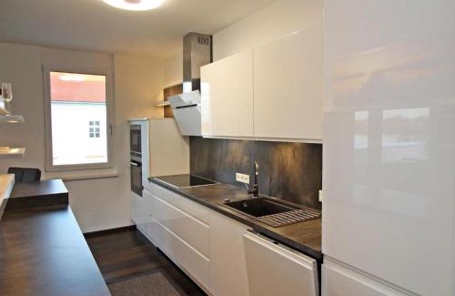 Tulln an der Donau Apartment | Ferienwohnung Donaublick mit Terrasse