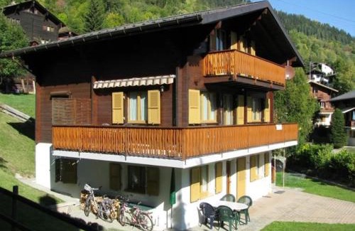 Fiesch Ski Chalet | Ferienwohnung Duinli