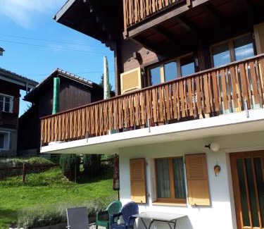 Fiesch Ski Chalet | Ferienwohnung Duinli