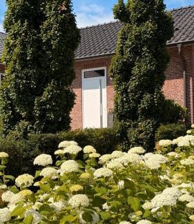 Bad Wilhelmshoehe Apartment | Ferienwohnung Ederweg