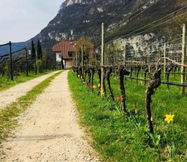 Magre sulla Strada del Vino Apartment | Ferienwohnung Eichnerhof