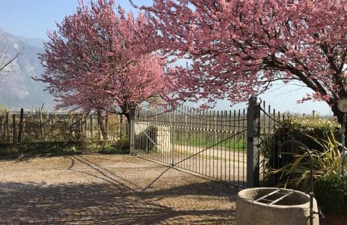 Magre sulla Strada del Vino Apartment | Ferienwohnung Eichnerhof