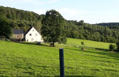 Briedel Apartment | Ferienwohnung Eiernest