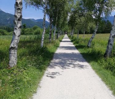 Sankt Wolfgang im Salzkammergut Apartment | Ferienwohnung Eisl