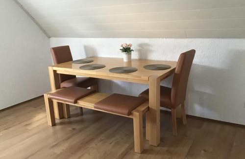 Maxhutte-Haidhof Apartment | Ferienwohnung Elina