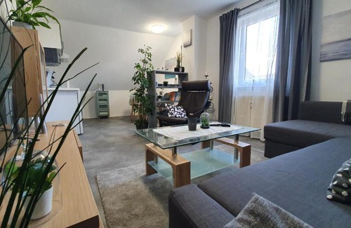 Hungen Apartment | Ferienwohnung Elsa