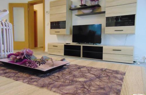 Gelenau Apartment | Ferienwohnung "Ernst 1"
