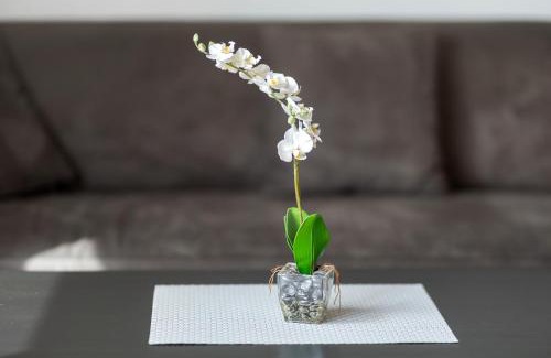 Hochwaldhausen Apartment | Ferienwohnung Eva