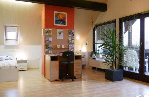 Mahlberg Apartment | Ferienwohnung Eva-Maria