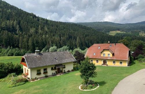 Frauenstein Apartment | Ferienwohnung Familie Kampl