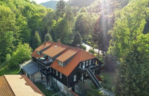 Ilsenburg House | Ferienwohnung Forsthaus am Brocken, 40 qm, 1 Schlafzimmer F4