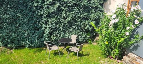 Schneeberg Apartment | Ferienwohnung Frauenmarkt