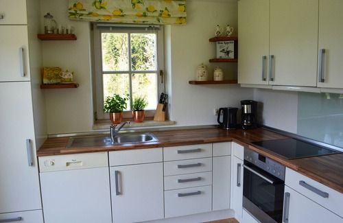 Fieberbrunn Apartment | Ferienwohnung Gaßoidhof EG