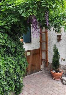 Ochsenfurt Apartment | Ferienwohnung Geiernest