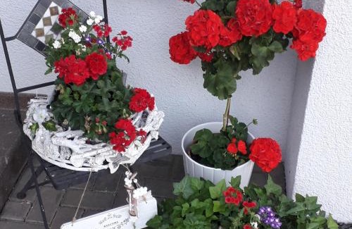Unterschneidheim Apartment | Ferienwohnung Gogelhopf EG