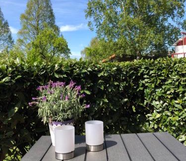 Obernkirchen Apartment | Ferienwohnung Härtings Hygge