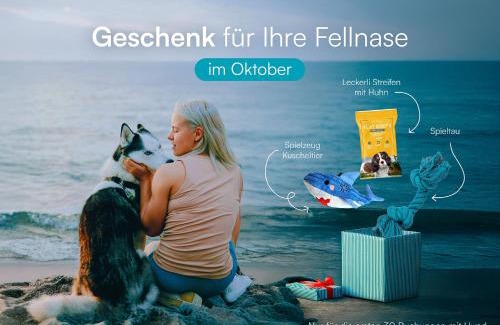 Olpenitz Apartment | Ferienwohnung Hafenkino