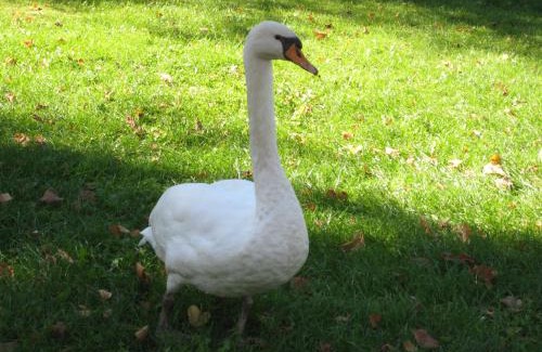 Lubben Apartment | Ferienwohnung Hainbuche Lübben im Spreewald