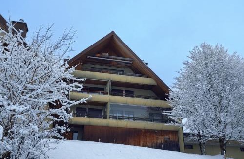 Wildhaus-Alt St. Johann Apartment | Ferienwohnung Halden