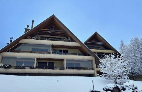 Wildhaus-Alt St. Johann Apartment | Ferienwohnung Halden