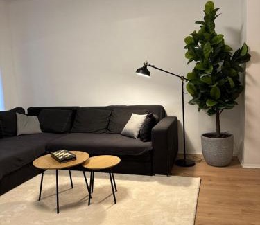 Aue Apartment | Ferienwohnung Haus Paraschiv