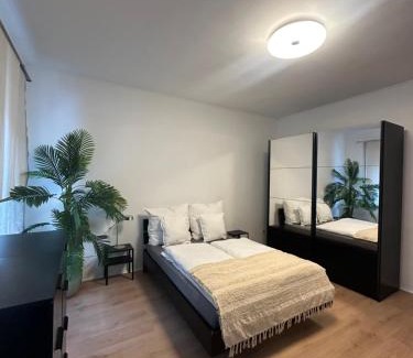 Aue Apartment | Ferienwohnung Haus Paraschiv