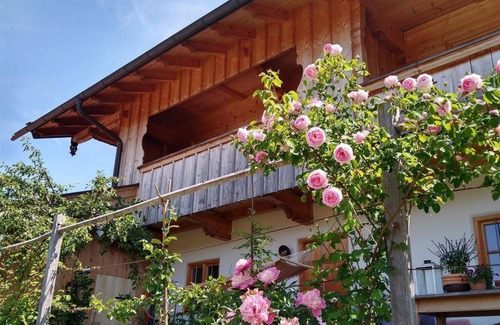 Wurmansau Apartment | Ferienwohnung Holzzeit - Ferienwohnung