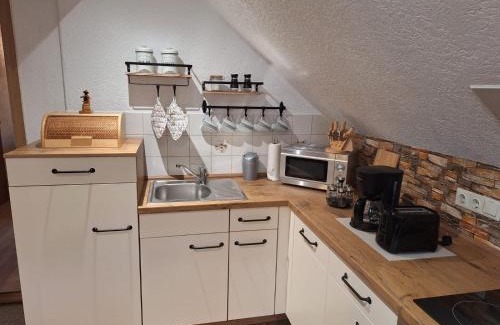 Neuhausen Apartment | Ferienwohnung im Erzgebirge - Seiffen