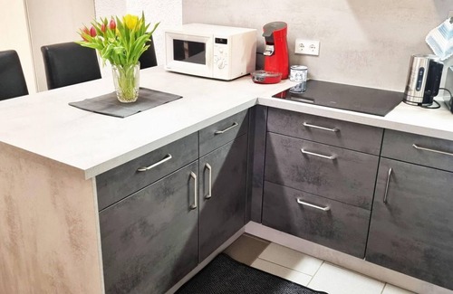 Abtweiler Apartment | Ferienwohnung "Im Hof" - Appartement/fewo, Dusche, WC, Wohn-/schlafraum