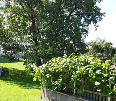 Roehrnbach Apartment | Ferienwohnung im Seidlerhof mit Balkon und Garten