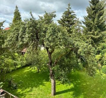 Winterlingen Apartment | Ferienwohnung in Winterlingen
