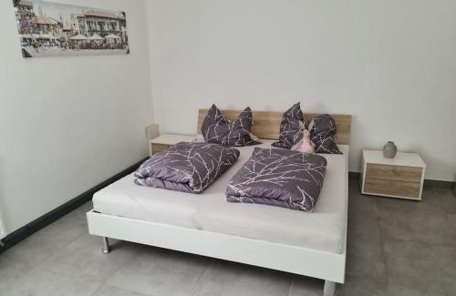 Rinnthal Apartment | Ferienwohnung Jungpfalzstieg