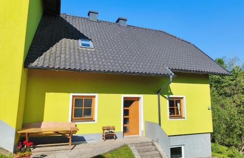 Frauenstein Apartment | Ferienwohnung Kanegger