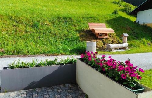 Frauenstein Apartment | Ferienwohnung Kanegger