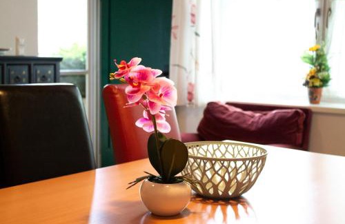 Pamhagen Apartment | Ferienwohnung Koppi