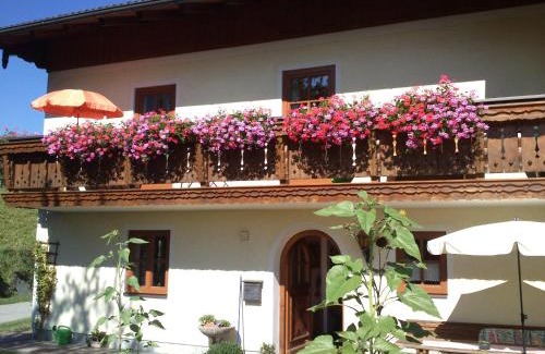 Bad Durrnberg Apartment | Ferienwohnung Löffelberger