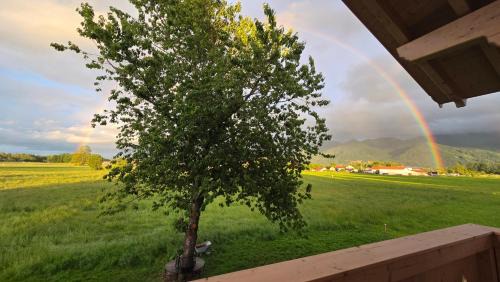 Uebersee Apartment | Ferienwohnung Lederer