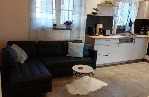 Hof Apartment | Ferienwohnung Leimitz