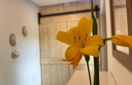 Tann Apartment | Ferienwohnung Lilly, 60qm, 4 Personen