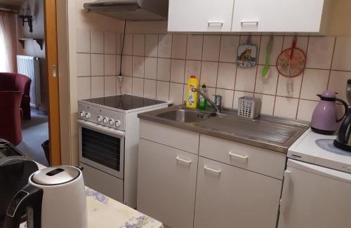 Kleinschmalkalden Apartment | Ferienwohnung Loos
