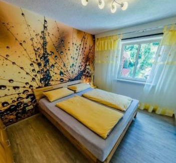 Schwarzwald Apartment | Ferienwohnung Luisenthal