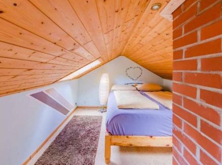 Schwarzwald Apartment | Ferienwohnung Luisenthal