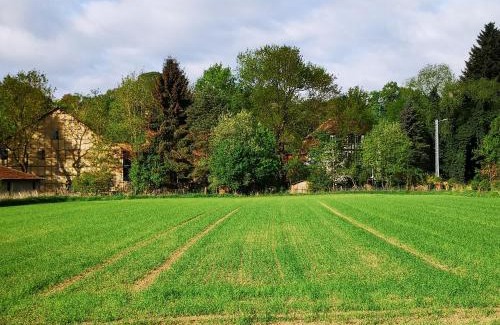 Fritzlar Apartment | Ferienwohnung Mühlradblick