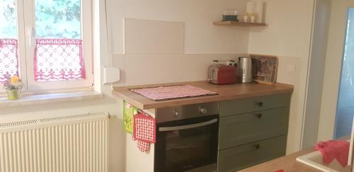 Voigtlaide Apartment | Ferienwohnung MAI