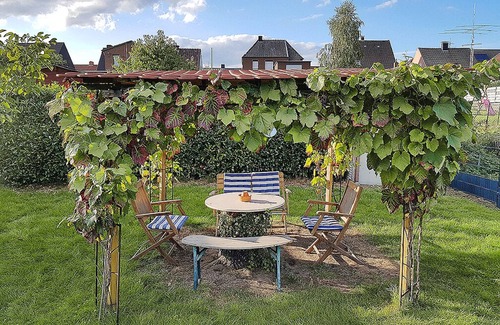 Center/Hamm-Bossendorf Apartment | Ferienwohnung Milano, 1-6 Pers