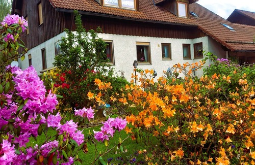Schoensee Apartment | Ferienwohnung mit 3 Schlafzimmer