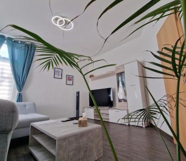 Plauen Apartment | Ferienwohnung mit Fitnessstudio Top1