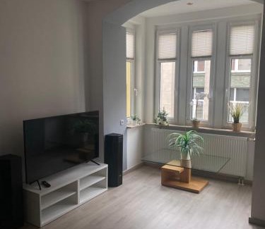 Aue Apartment | Ferienwohnung mit Terrasse