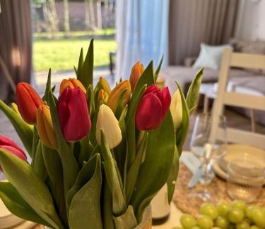 Eiderstedt Apartment | Ferienwohnung Nordig