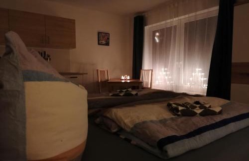 Bernsbach Apartment | Ferienwohnung Oberpfannenstiel